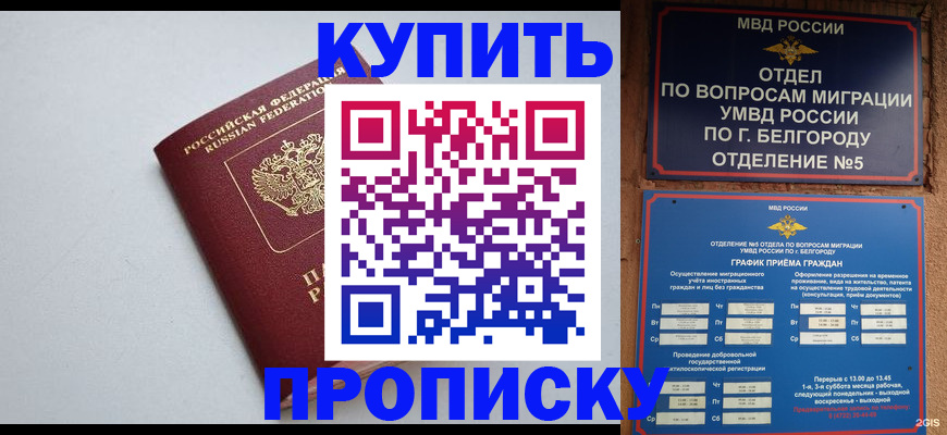 прописка регистрация в Шелехове